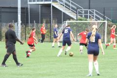 IMG_3439.JPG