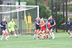 IMG_3578.JPG