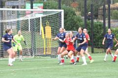 IMG_3579.JPG
