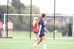 IMG_3676.JPG