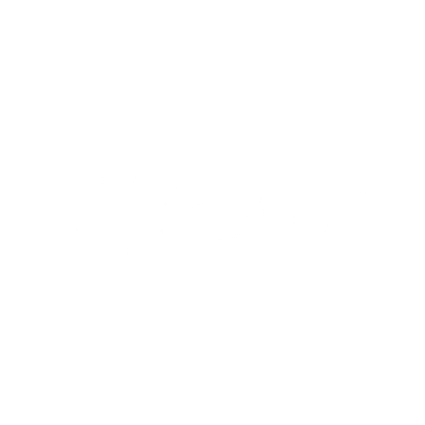 Veo Technologies logo