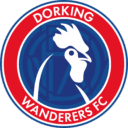 Dorking logo